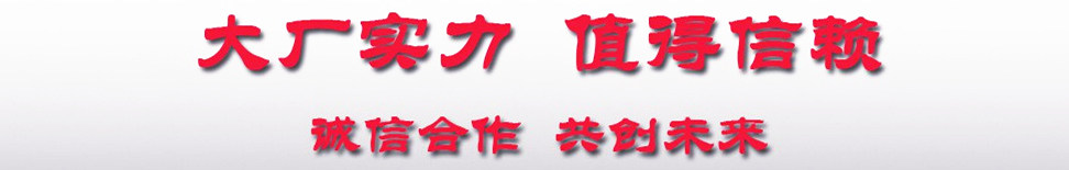 大廠實(shí)力共創(chuàng)未來(lái)